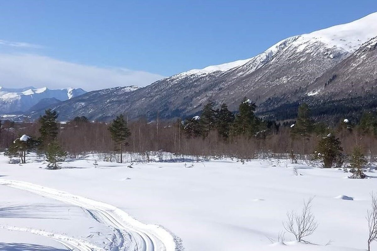 Skiløype rett ved feltet om vinteren
